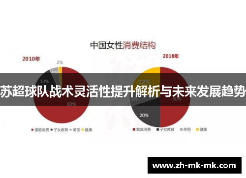 苏超球队战术灵活性提升解析与未来发展趋势